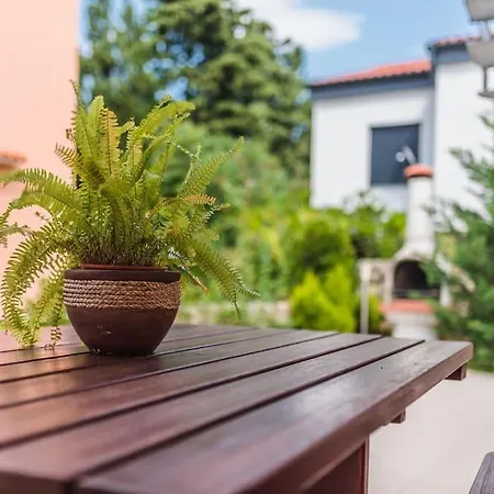 Fenix 2 クリムノ