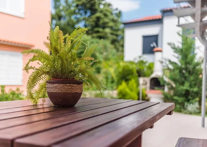 Fenix 2 Климно